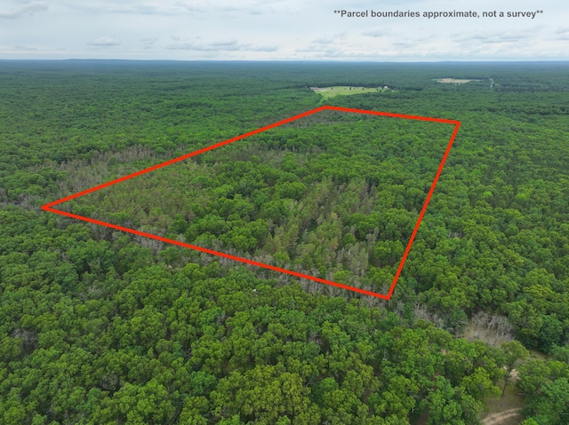 7376 W 7 Mile Rd, Irons, MI 49644