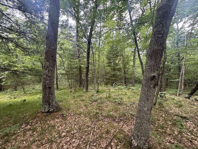 7376 W 7 Mile Rd, Irons, MI 49644