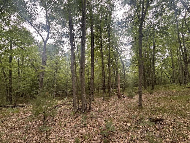 7376 W 7 Mile Rd, Irons, MI 49644