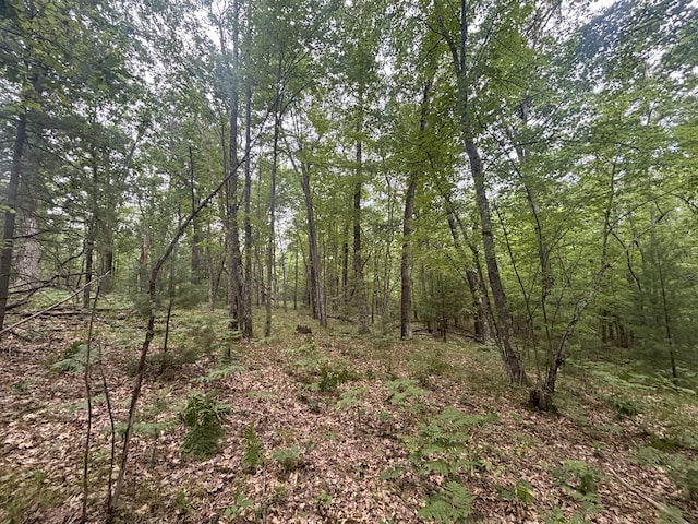 7376 W 7 Mile Rd, Irons, MI 49644
