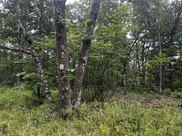 7376 W 7 Mile Rd, Irons, MI 49644
