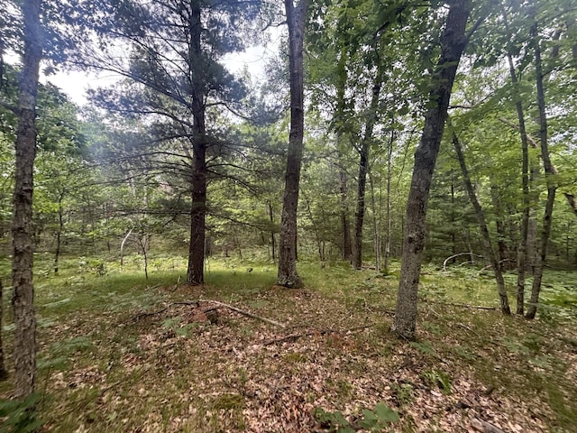 7376 W 7 Mile Rd, Irons, MI 49644
