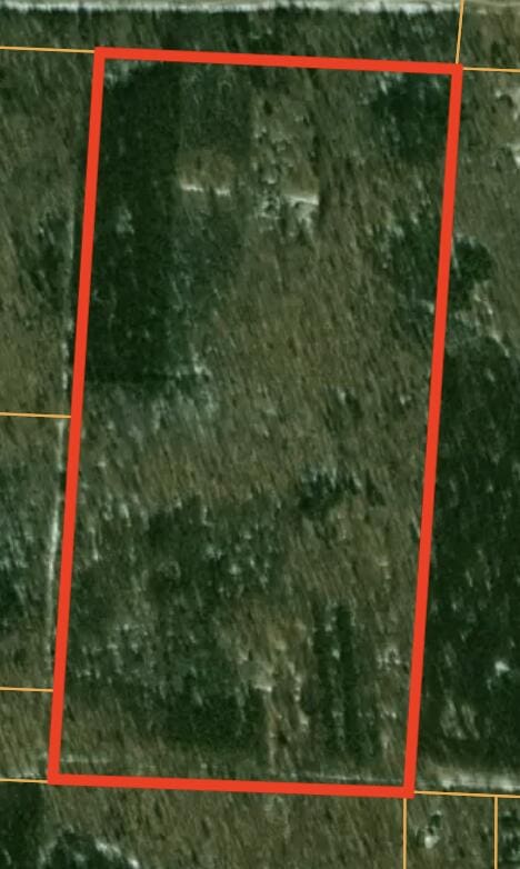 7376 W 7 Mile Rd, Irons, MI 49644