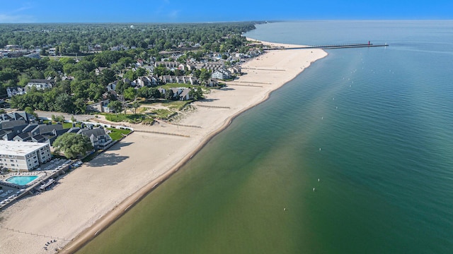 225 N Shore Dr Unit 302, South Haven, MI 49090 - bird's eye view of a large body of water