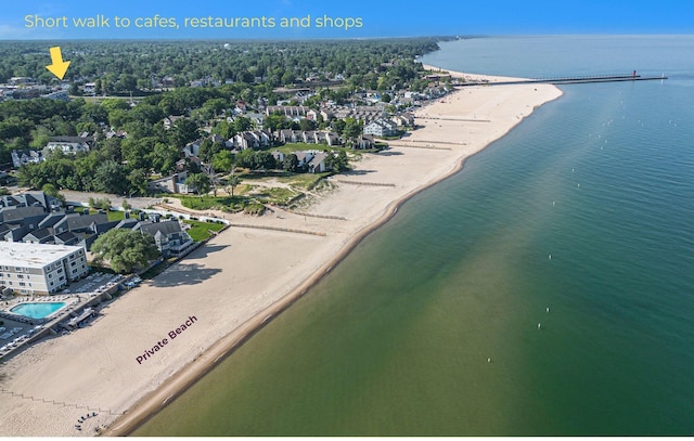 225 N Shore Dr Unit 302, South Haven, MI 49090 - bird's eye view of a nearby body of water
