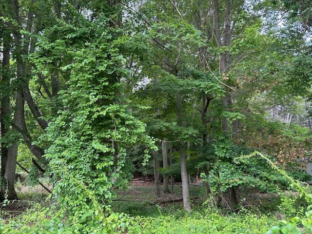 5043 Maranatha Dr, Norton Shores, MI 49441 - photo 8