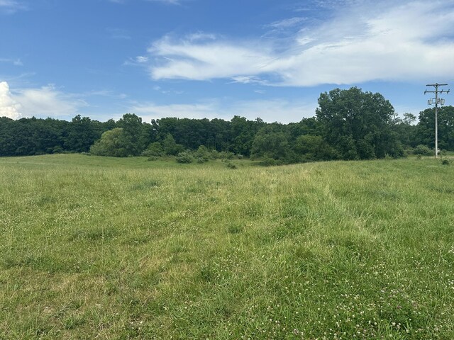 V/L Lammers Rd, Delton, MI 49046