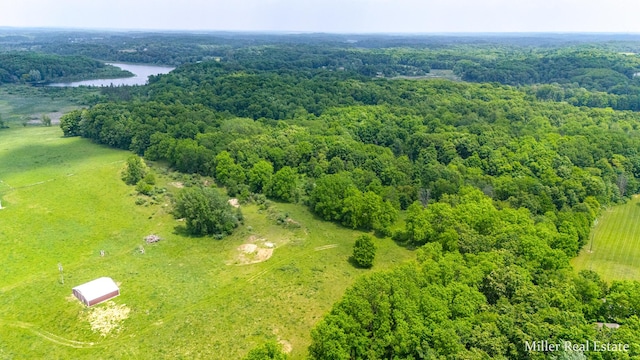 V/L Lammers Rd, Delton, MI 49046