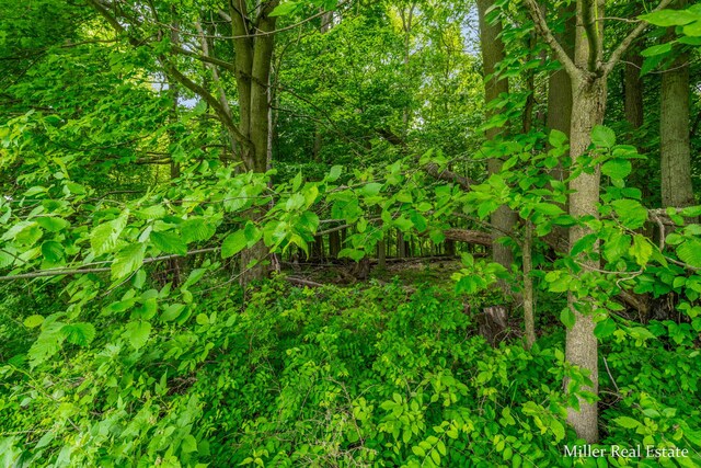 V/L Lammers Rd, Delton, MI 49046