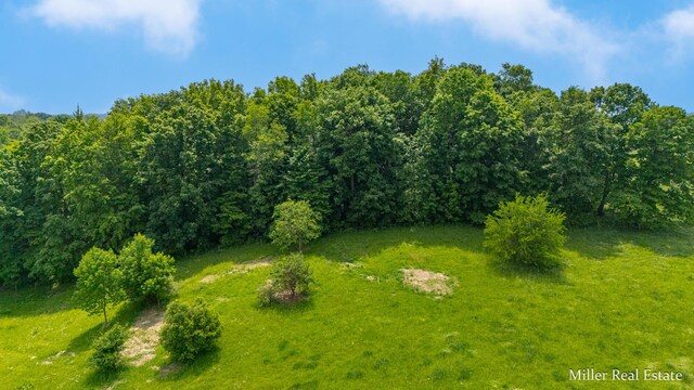 V/L Lammers Rd, Delton, MI 49046