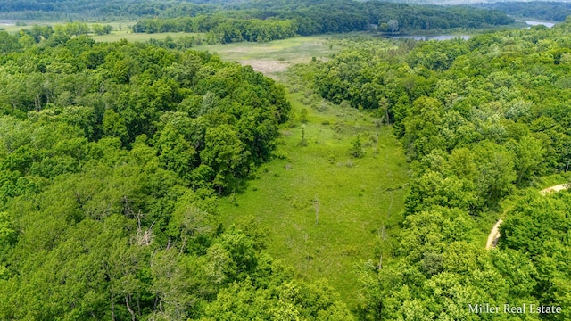 V/L Lammers Rd, Delton, MI 49046