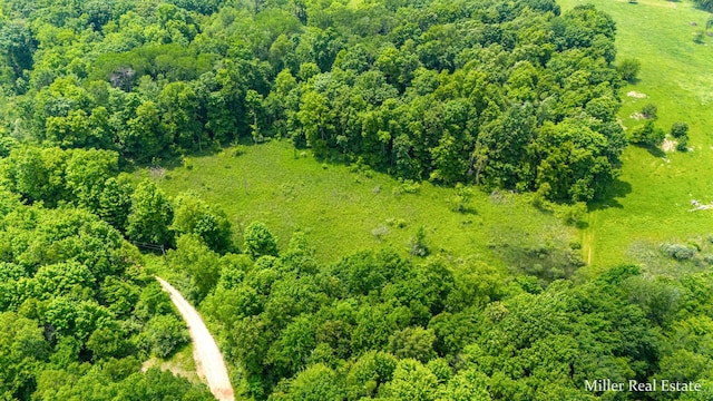 V/L Lammers Rd, Delton, MI 49046