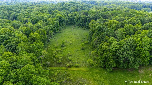 V/L Lammers Rd, Delton, MI 49046