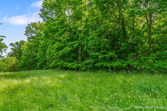 V/L Lammers Rd, Delton, MI 49046