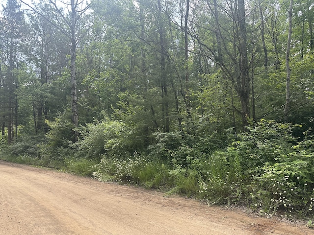 00 N Skookum Rd, Luther, MI 49656