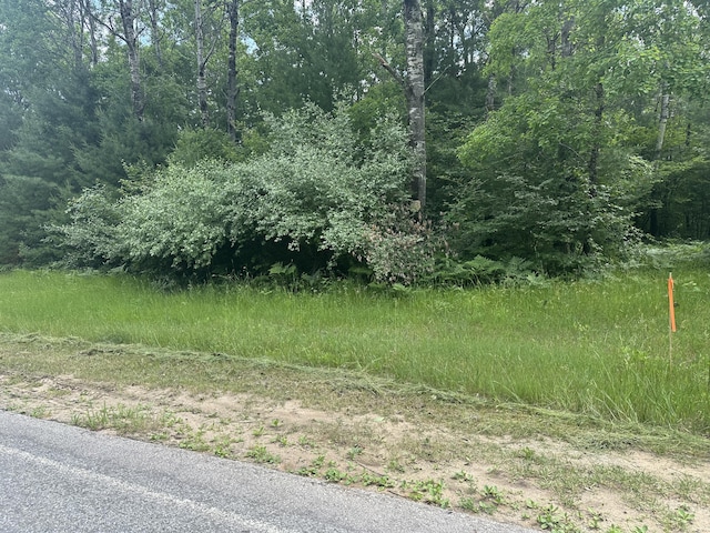 00 N Skookum Rd, Luther, MI 49656