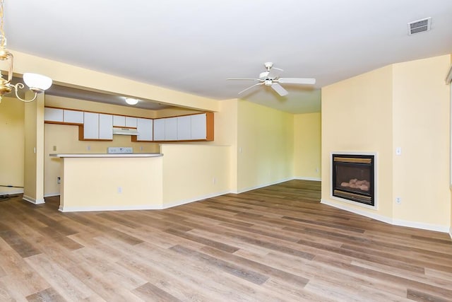 2208 Parkview Ave, Kalamazoo, MI 49008 - unfurnished living room with light wood-type flooring, a ceiling fan, and a glass covered fireplace