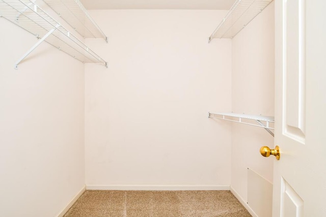2208 Parkview Ave, Kalamazoo, MI 49008 - walk in closet with carpet