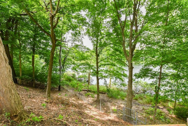 2208 Parkview Ave, Kalamazoo, MI 49008 - view of local wilderness