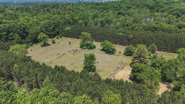 V/L 215th Ave, Stanwood, MI 49346