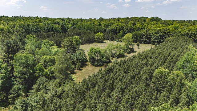V/L 215th Ave, Stanwood, MI 49346