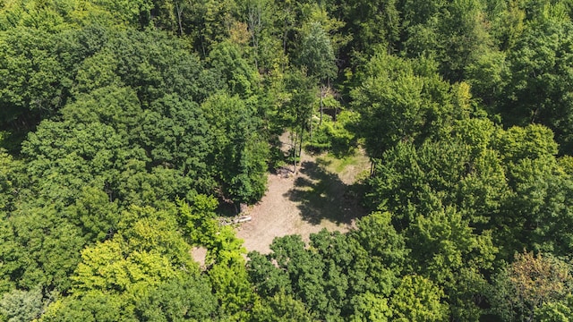V/L 215th Ave, Stanwood, MI 49346