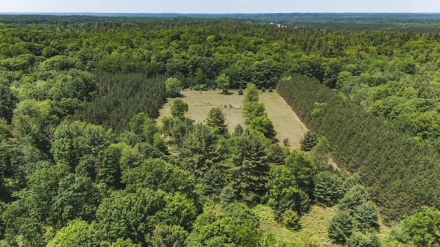 V/L 215th Ave, Stanwood, MI 49346