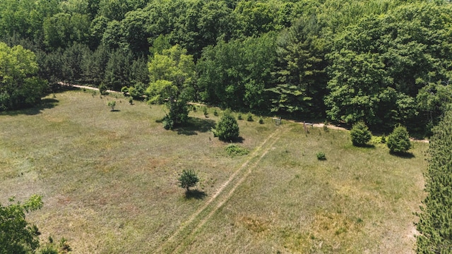 V/L 215th Ave, Stanwood, MI 49346