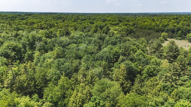 V/L 215th Ave, Stanwood, MI 49346