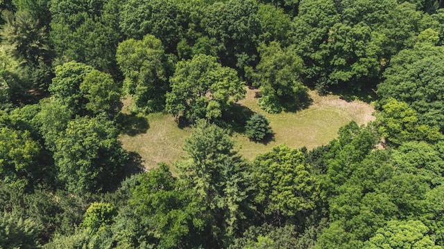 V/L 215th Ave, Stanwood, MI 49346