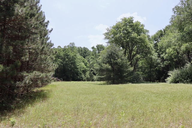 V/L 215th Ave, Stanwood, MI 49346