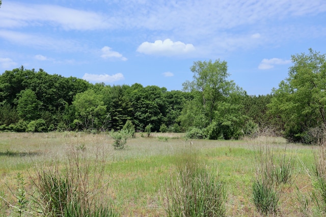 V/L 215th Ave, Stanwood, MI 49346