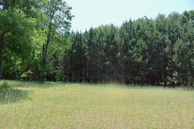 V/L 215th Ave, Stanwood, MI 49346