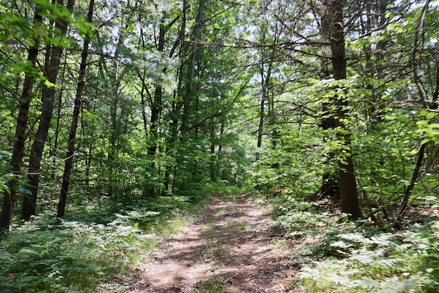V/L 215th Ave, Stanwood, MI 49346
