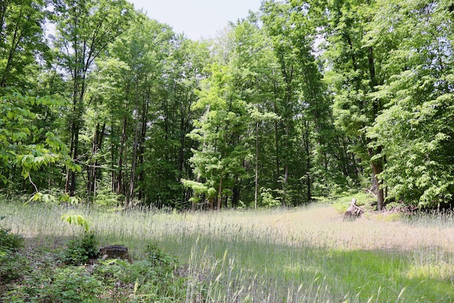 V/L 215th Ave, Stanwood, MI 49346