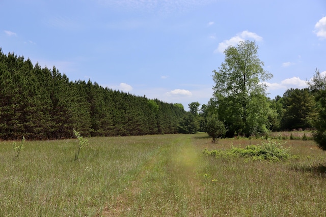 V/L 215th Ave, Stanwood, MI 49346