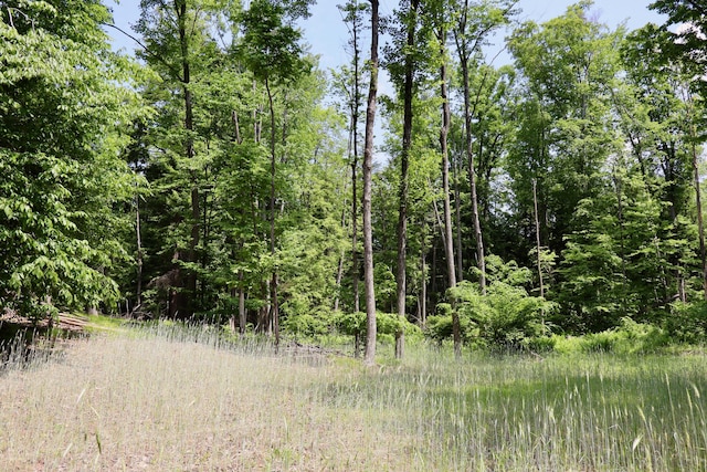 V/L 215th Ave, Stanwood, MI 49346