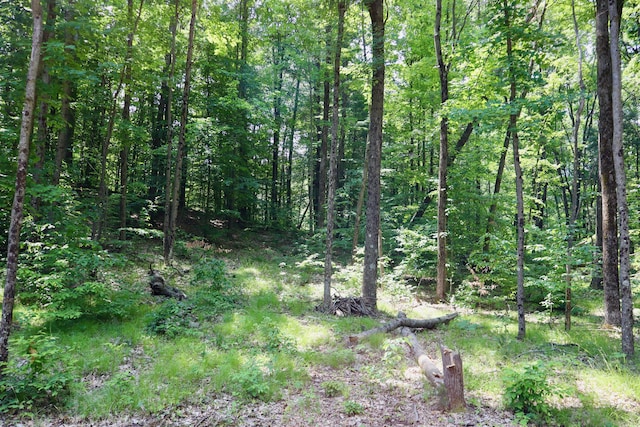 V/L 215th Ave, Stanwood, MI 49346