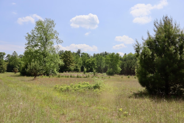 V/L 215th Ave, Stanwood, MI 49346