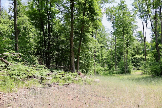 V/L 215th Ave, Stanwood, MI 49346