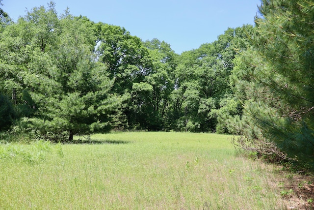 V/L 215th Ave, Stanwood, MI 49346