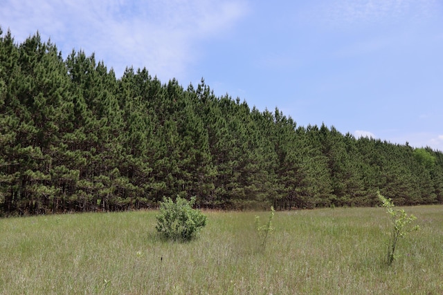 V/L 215th Ave, Stanwood, MI 49346