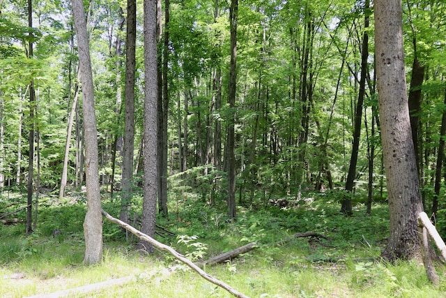 V/L 215th Ave, Stanwood, MI 49346