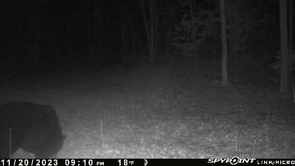 V/L 215th Ave, Stanwood, MI 49346