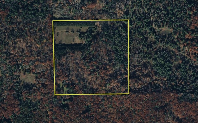 V/L 215th Ave, Stanwood, MI 49346