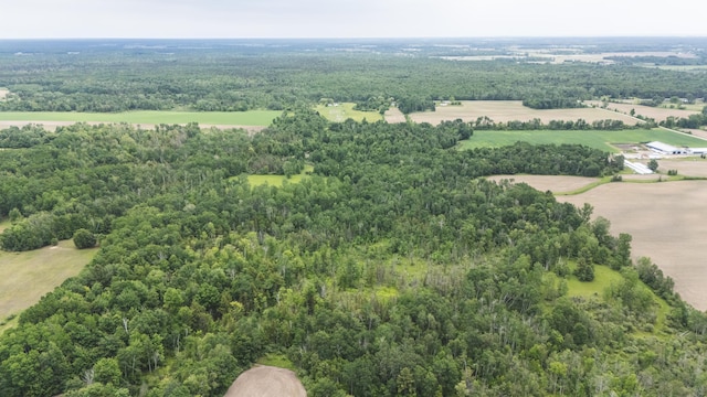 1214 N Black Rd, Twining, MI 48766 - photo 1