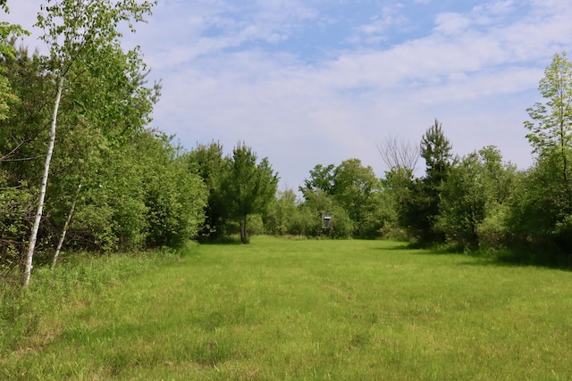 1214 N Black Rd, Twining, MI 48766 - photo 13