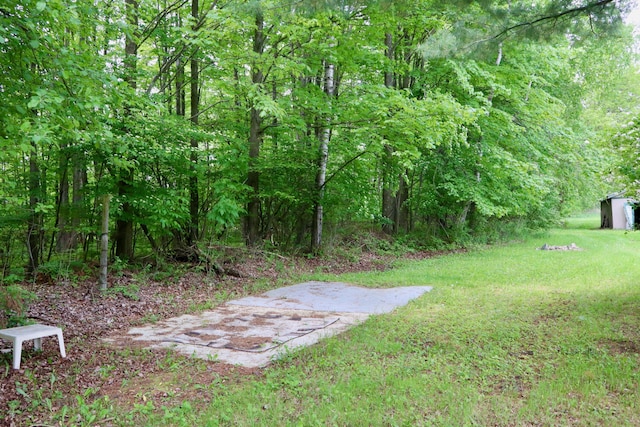 1214 N Black Rd, Twining, MI 48766 - photo 56
