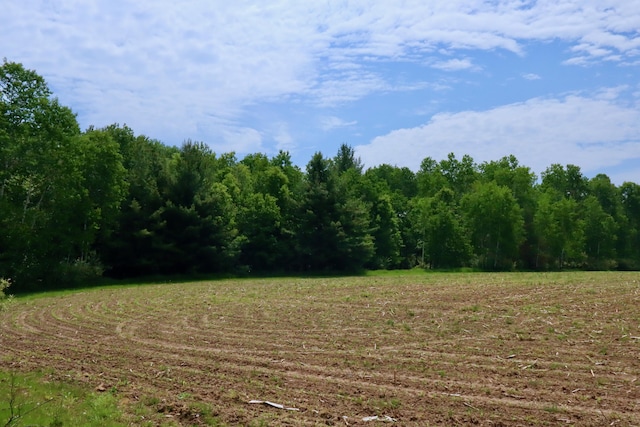 1214 N Black Rd, Twining, MI 48766 - photo 16