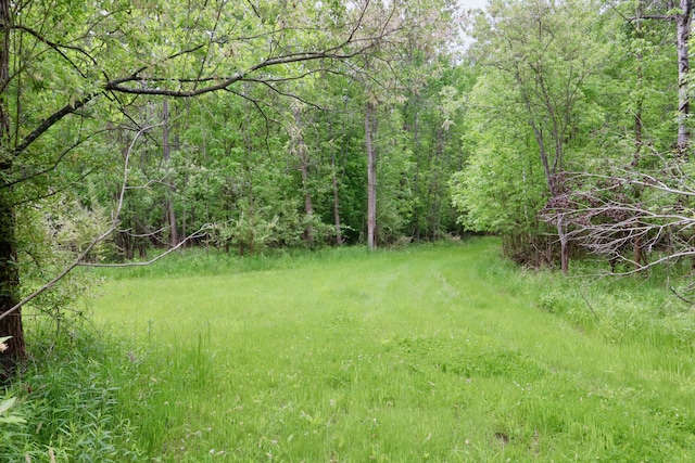 1214 N Black Rd, Twining, MI 48766 - photo 18